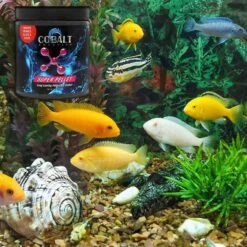 Cobalt Aquatics Super Pellet Aquarium Carbon, 44-oz Tub -Plax Penn Shop 238446 PT4. AC SS1800 V1615933909