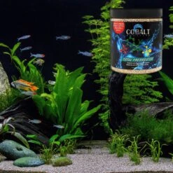 Cobalt Aquatics Total Freshwater Aquarium Resin, 60-oz Tub 11 Cobalt Aquatics Total Freshwater Aquarium Resin, 60-oz Tub -Plax Penn Shop 238458 PT4. AC SS1800 V1615937210