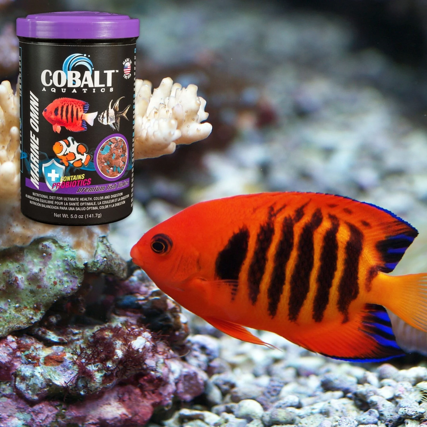 Cobalt Aquatics Marine Omni Flakes Fish Food 7 Cobalt Aquatics Marine Omni Flakes Fish Food - Image 5