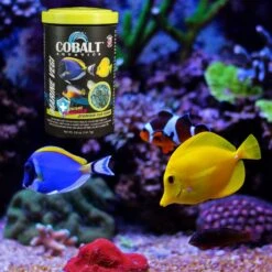 Cobalt Aquatics Marine Vegi Flakes Fish Food 14 Cobalt Aquatics Marine Vegi Flakes Fish Food -Plax Penn Shop 238506 PT4. AC SS1800 V1669237665