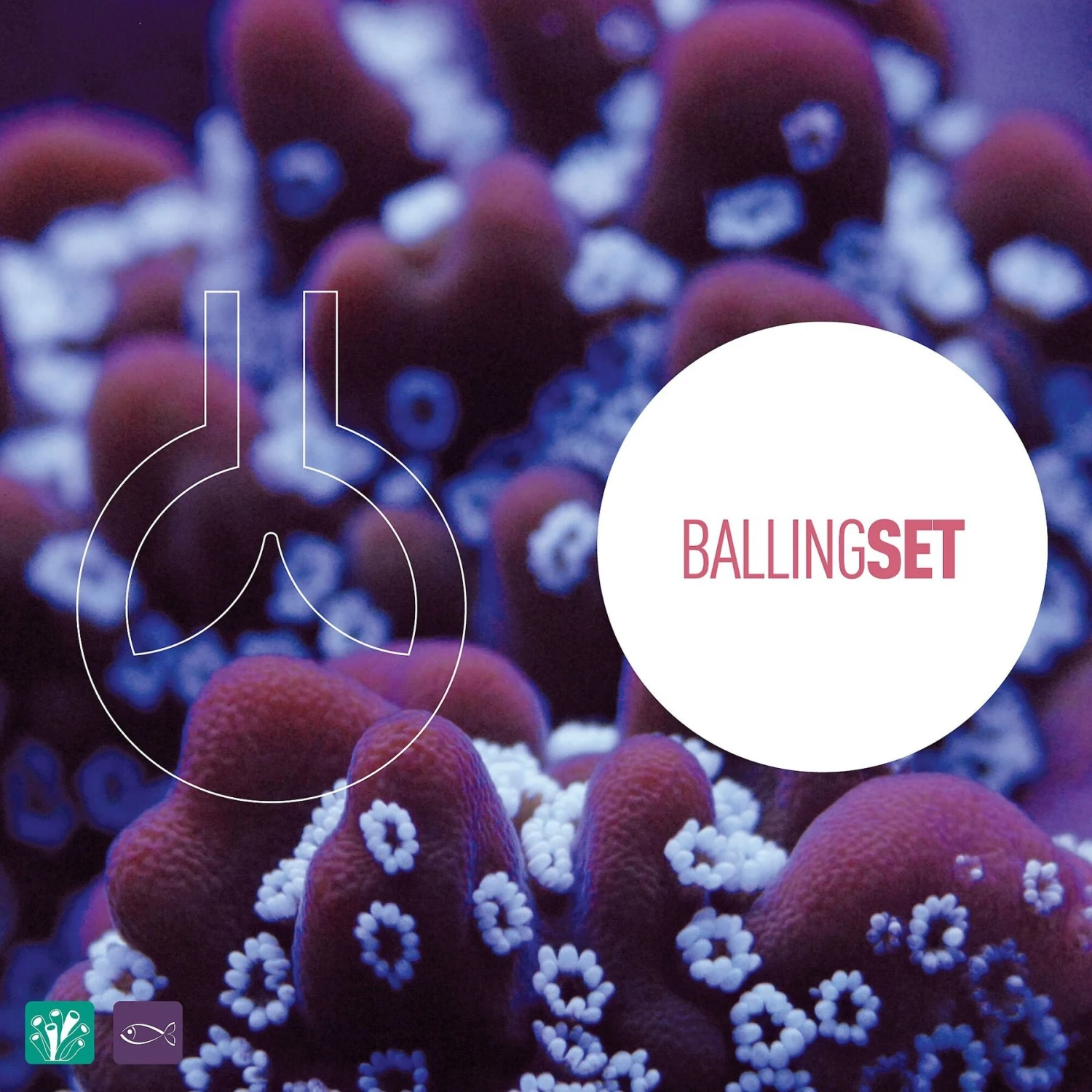 Reeflowers Magnesium Blend C Aquarium Water Treatment 7 Reeflowers Magnesium Blend C Aquarium Water Treatment - Image 5