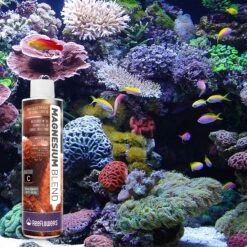 Reeflowers Magnesium Blend C Aquarium Water Treatment 17 Reeflowers Magnesium Blend C Aquarium Water Treatment -Plax Penn Shop 238516 PT7. AC SS1800 V1616512003