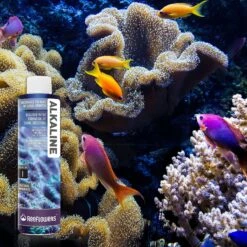 Reeflowers Alkaline I Natural Aquarium Minerals, 34-oz Bottle -Plax Penn Shop 238521 PT7. AC SS1800 V1616518297