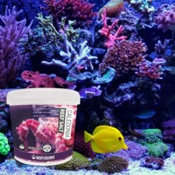 Reeflowers Caledonia Reef Salt Aquarium Salt 15 Reeflowers Caledonia Reef Salt Aquarium Salt -Plax Penn Shop 238535 PT6. AC SS1800 V1664564639