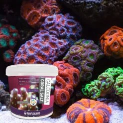 Reeflowers Caledonia Coral Aquarium Salt -Plax Penn Shop 238540 PT6. AC SS1800 V1616518918