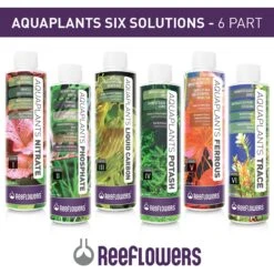 Reeflowers AquaPlants Phosphate Solution II Aquarium Plant Treatment, 34-oz Bottle -Plax Penn Shop 238545 PT6. AC SS1800 V1616517102