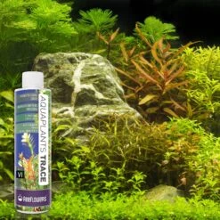 Reeflowers AquaPlants Trace Solution VI Aquarium Water Treatment, 34-oz Bottle -Plax Penn Shop 238553 PT7. AC SS1800 V1616517129