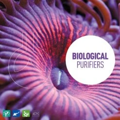 Reeflowers BioClean II Aquarium Water Cleaner 13 Reeflowers BioClean II Aquarium Water Cleaner -Plax Penn Shop 238559 PT4. AC SS1800 V1616517131