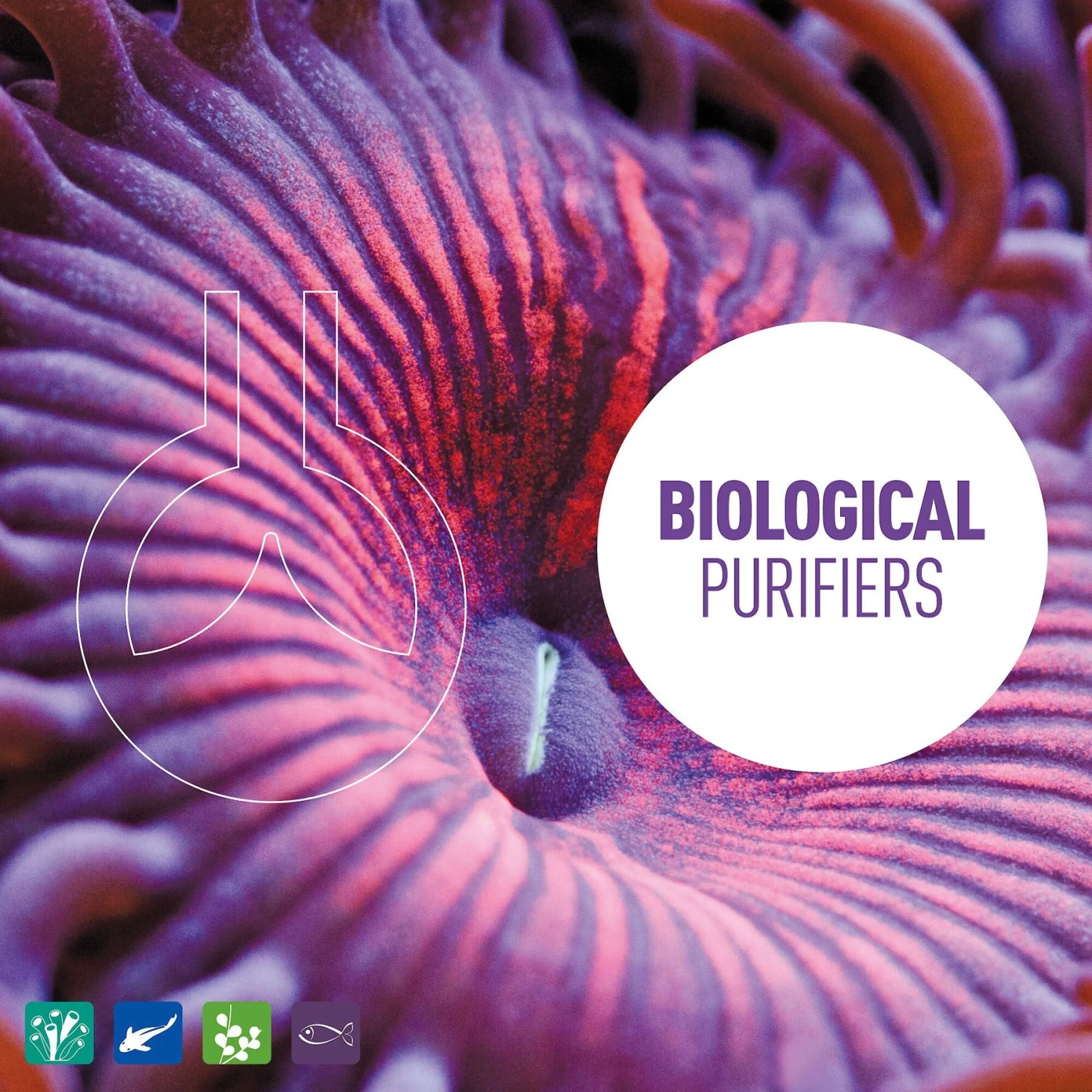 Reeflowers BioClean II Aquarium Water Cleaner 7 Reeflowers BioClean II Aquarium Water Cleaner - Image 5