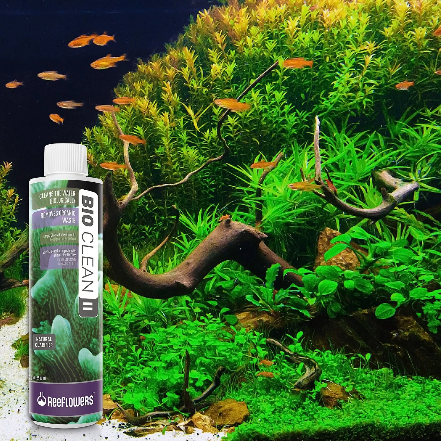 Reeflowers BioClean II Aquarium Water Cleaner 9 Reeflowers BioClean II Aquarium Water Cleaner - Image 7