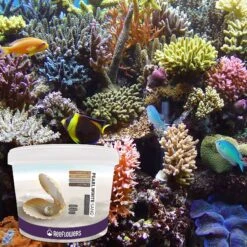Reeflowers Pearl White Aquarium Sand, 0.5-1-mm -Plax Penn Shop 238567 PT6. AC SS1800 V1616518586