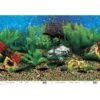 Penn-Plax Shale Wall/Hawaii Blue Double Aquarium Background -Plax Penn Shop 239741 MAIN. AC SS1800 V1593461776
