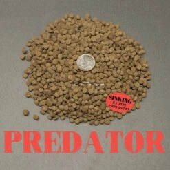 Cobalt Aquatics Ultra Predator Micro Grazer Sinking Fish Food 7 Cobalt Aquatics Ultra Predator Micro Grazer Sinking Fish Food -Plax Penn Shop 243155 PT1. AC SS1800 V1669388226