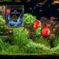Cobalt Aquatics Complete Freshwater Aquarium Granulated Carbon -Plax Penn Shop 243199 PT4. AC SS1800 V1615937614