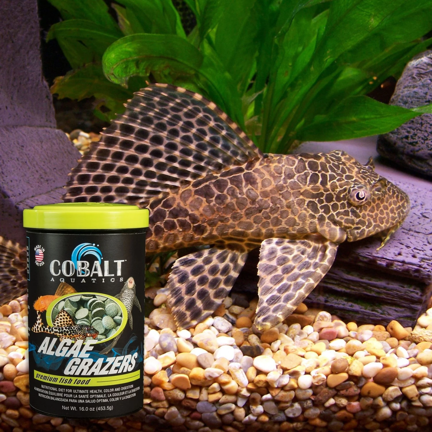 Cobalt Aquatics Algae Grazers Fish Food 7 Cobalt Aquatics Algae Grazers Fish Food - Image 5