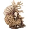 BiOrb Coral Shells Aquarium Ornament, Neutral -Plax Penn Shop 252223 MAIN. AC SS1800 V1605554221