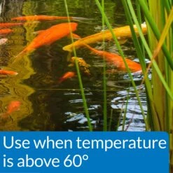 API Pond Koi & Goldfish Food -Plax Penn Shop 253896 PT2. AC SS1800 V1602517596