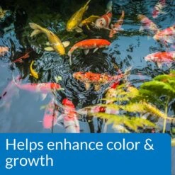 API Pond Koi & Goldfish Food -Plax Penn Shop 253896 PT4. AC SS1800 V1602517563