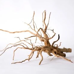 Galapagos Spiderwood Aquarium & Terrarium Accessory, Natural 14 Galapagos Spiderwood Aquarium & Terrarium Accessory, Natural -Plax Penn Shop 257668 PT3. AC SS1800 V1684413113