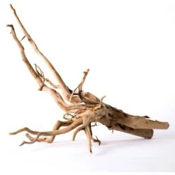 Galapagos Spiderwood Aquarium & Terrarium Accessory, Natural 15 Galapagos Spiderwood Aquarium & Terrarium Accessory, Natural -Plax Penn Shop 257668 PT4. AC SS1800 V1684408628