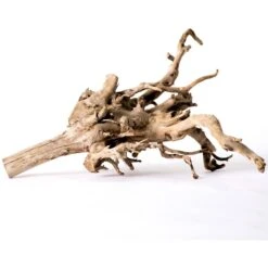 Galapagos Spiderwood Aquarium & Terrarium Accessory, Natural 16 Galapagos Spiderwood Aquarium & Terrarium Accessory, Natural -Plax Penn Shop 257668 PT5. AC SS1800 V1684410037