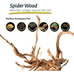 Galapagos Spiderwood Aquarium & Terrarium Accessory, Natural 17 Galapagos Spiderwood Aquarium & Terrarium Accessory, Natural -Plax Penn Shop 257668 PT6. AC SS1800 V1684405257
