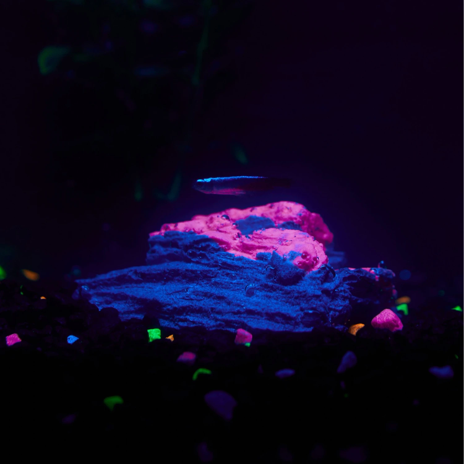 CC Pet Lava Rock Fish Aquarium Ornament, Small 5 CC Pet Lava Rock Fish Aquarium Ornament, Small - Image 3