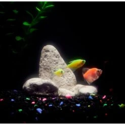 CC Pet Boulder Fish Aquarium Ornament, Small -Plax Penn Shop 269332 PT3. AC SS1800 V1627417008