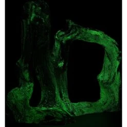 CC Pet Monrovia Fish Aquarium Ornament 8 CC Pet Monrovia Fish Aquarium Ornament -Plax Penn Shop 269336 PT2. AC SS1800 V1625618809