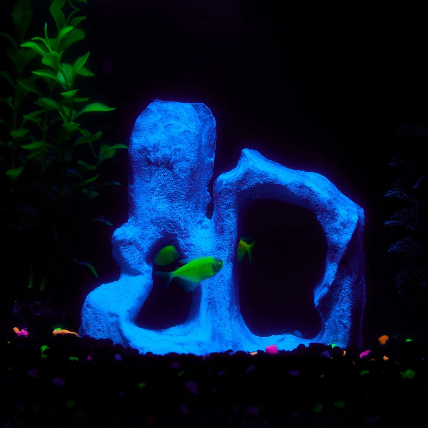 CC Pet Monrovia Fish Aquarium Ornament 6 CC Pet Monrovia Fish Aquarium Ornament - Image 4