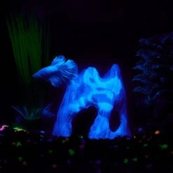 CC Pet Betta Cave Fish Aquarium Ornament 7 CC Pet Betta Cave Fish Aquarium Ornament -Plax Penn Shop 269338 PT3. AC SS1800 V1627417019