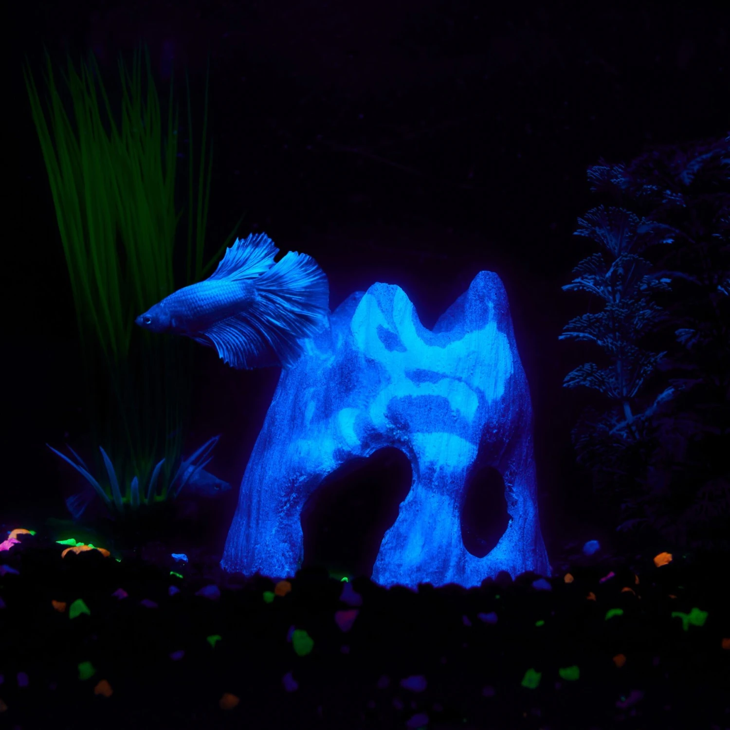 CC Pet Betta Cave Fish Aquarium Ornament 5 CC Pet Betta Cave Fish Aquarium Ornament - Image 3