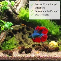 SunGrow Shrimp Breeding Aquarium Tank Water Conditioner & Food Alder Cones, 50 Count 11 SunGrow Shrimp Breeding Aquarium Tank Water Conditioner & Food Alder Cones, 50 Count -Plax Penn Shop 269366 PT3. AC SS1800 V1617750405