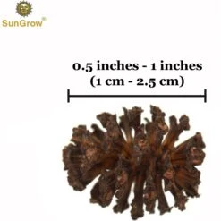SunGrow Shrimp Breeding Aquarium Tank Water Conditioner & Food Alder Cones, 50 Count 13 SunGrow Shrimp Breeding Aquarium Tank Water Conditioner & Food Alder Cones, 50 Count -Plax Penn Shop 269366 PT6. AC SS1800 V1636416730