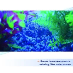 Aqueon PURE Bacteria Supplement -Plax Penn Shop 269416 PT5. AC SS1800 V1638486761