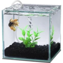 Aqueon Replacement Betta Filter Cartridge, 2 Count -Plax Penn Shop 277708 PT2. AC SS1800 V1614614228