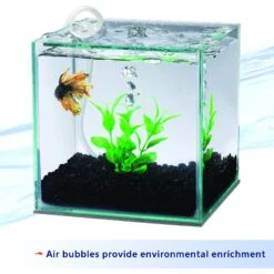 Aqueon Betta Natural Plant Betta Fish Aquarium Filter -Plax Penn Shop 277710 PT3. AC SS1800 V1638492808