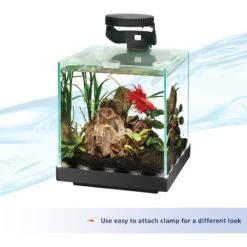 Aqueon Betta LED Fish Aquarium Light -Plax Penn Shop 277714 PT3. AC SS1800 V1638486395