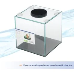 Aqueon Betta LED Fish Aquarium Light -Plax Penn Shop 277714 PT5. AC SS1800 V1638486443