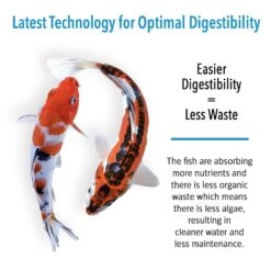 Microbe-Lift Pond Immuno Food Floating Sticks Koi & Goldfish Food 8 Microbe-Lift Pond Immuno Food Floating Sticks Koi & Goldfish Food -Plax Penn Shop 280669 PT3. AC SS1800 V1618849914