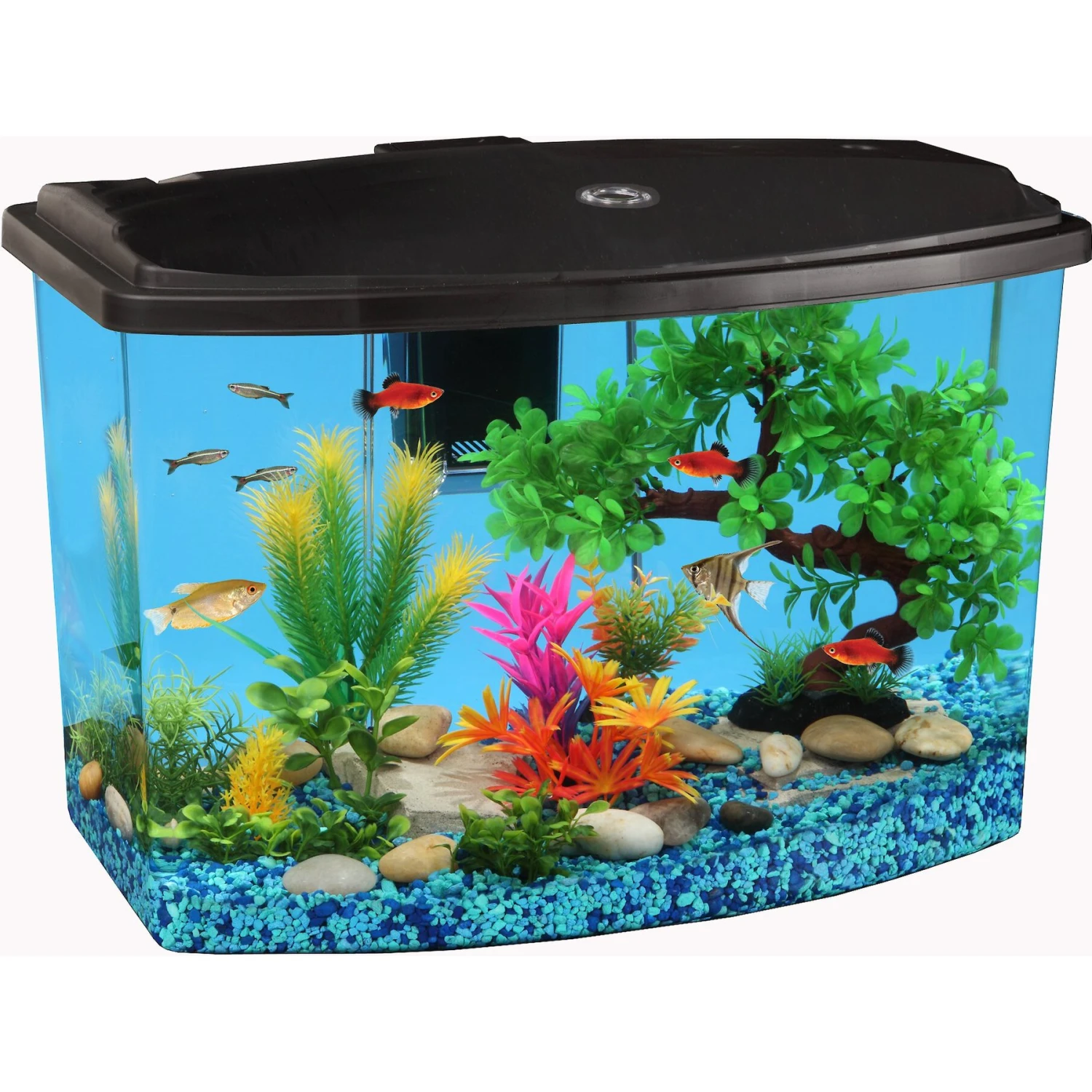 Koller Products Smart Tank Fish Aquarium, 7-gal 3 Koller Products Smart Tank Fish Aquarium, 7-gal