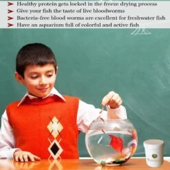 SunGrow Bloodworms Freeze-Dried Betta Fish Food, 0.52-oz Jar -Plax Penn Shop 288094 PT4. AC SS1800 V1618352248