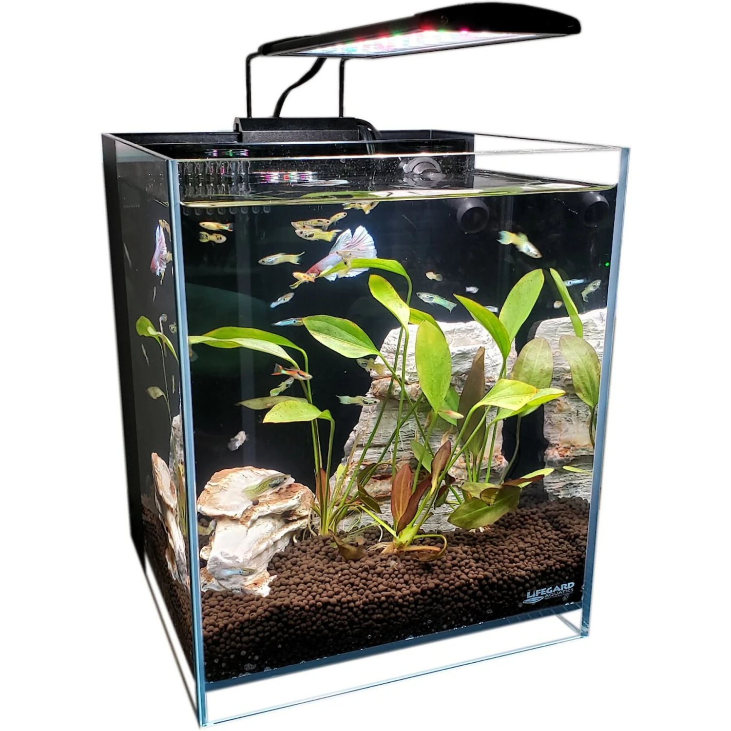 Lifegard Aquatics Full Spectrum Led Light With Mounting Bracket 6 Lifegard Aquatics Full Spectrum Led Light With Mounting Bracket - Image 4