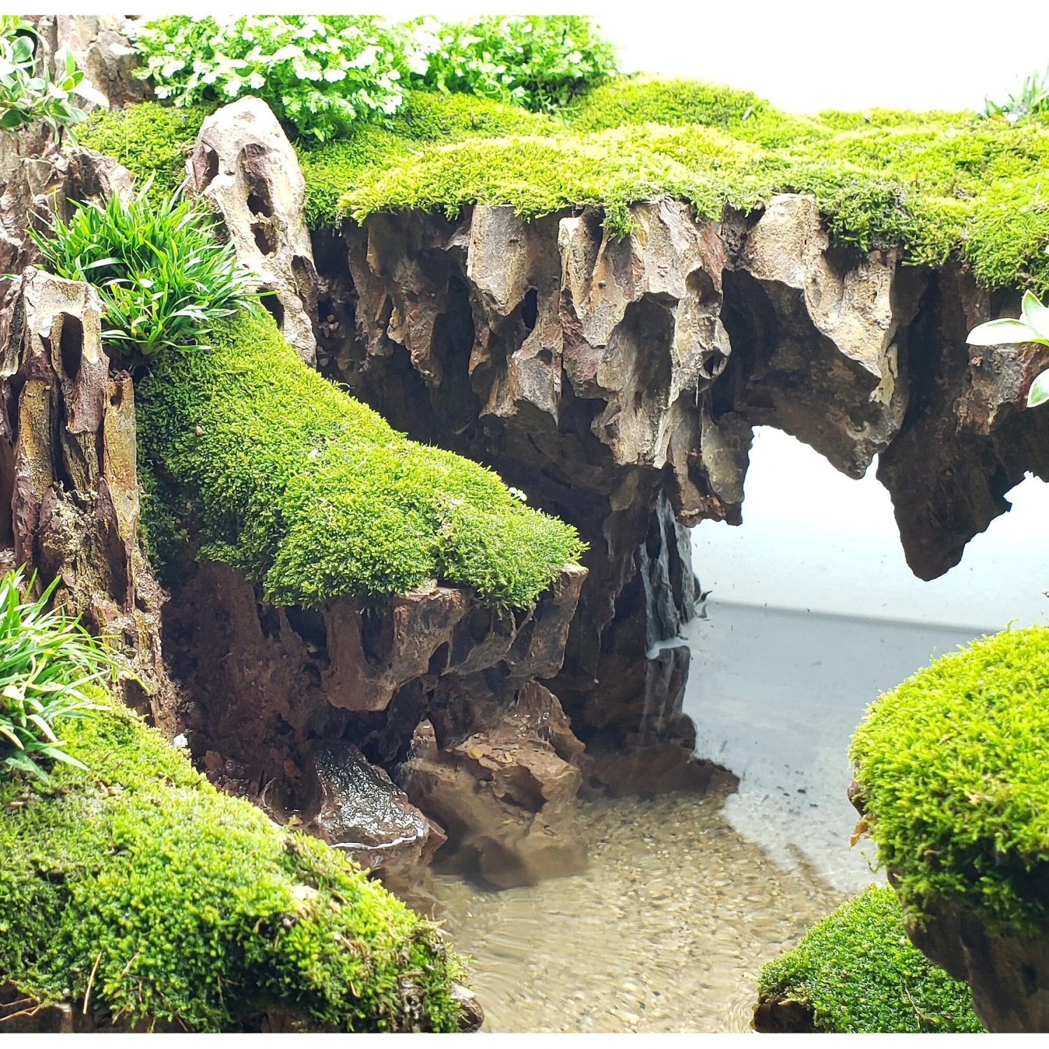 Lifegard Aquatics Dragon Songpi Ohko Rock 25 Gallon Kit 6 Lifegard Aquatics Dragon Songpi Ohko Rock 25 Gallon Kit - Image 4