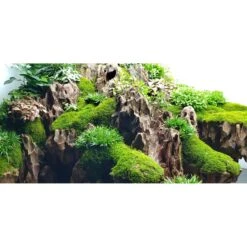 Lifegard Aquatics Dragon Songpi Ohko Rock 25 Gallon Kit 11 Lifegard Aquatics Dragon Songpi Ohko Rock 25 Gallon Kit -Plax Penn Shop 291963 PT4. AC SS1800 V1621634872