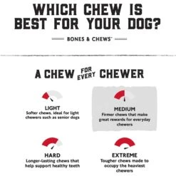 Stoney River Cherokee Pebble Premium Aquarium Gravel, 5-lb Bag -Plax Penn Shop 296024 PT5. AC SS1800 V1627579325