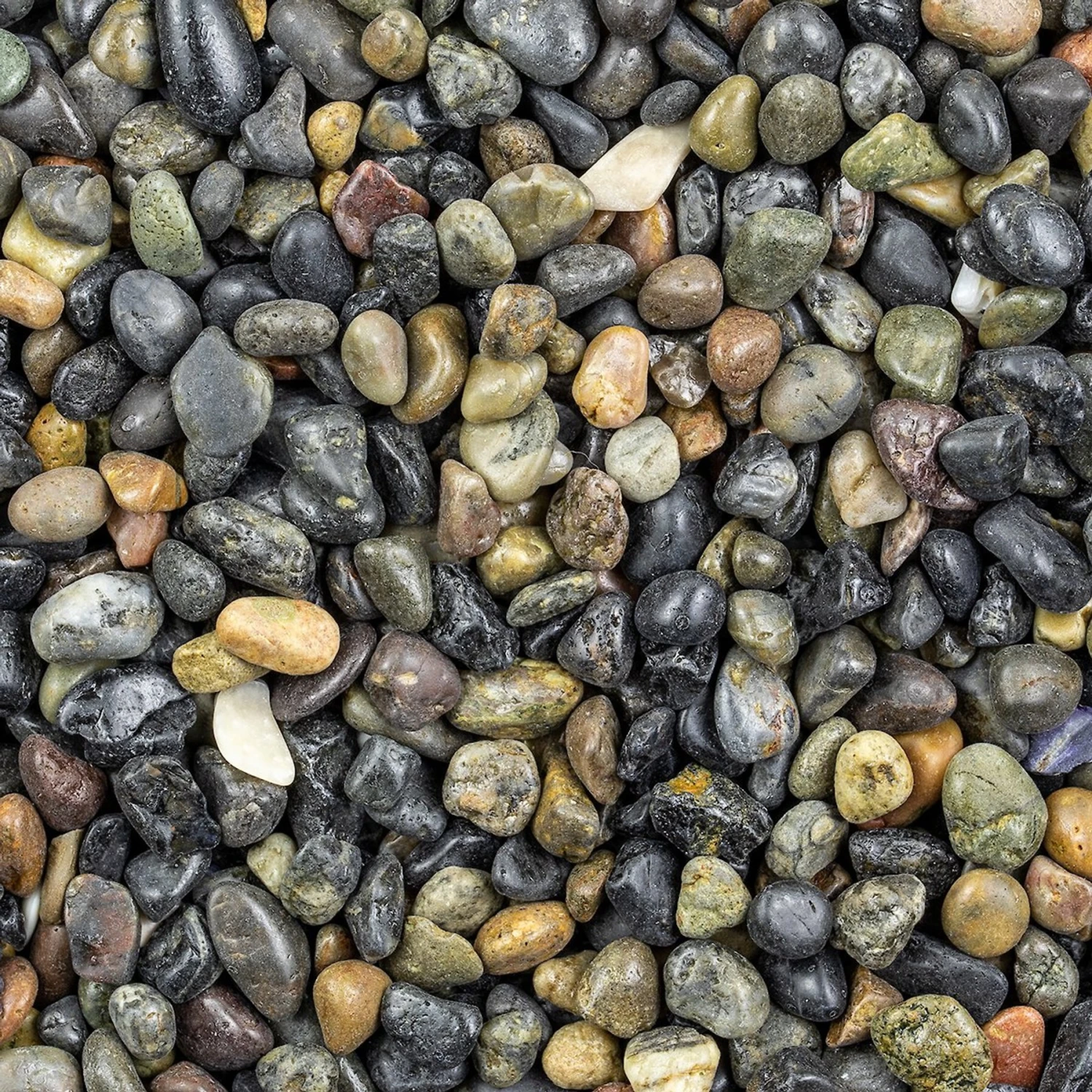 Stoney River Black Beach Pebbles Premium Aquarium Gravel, 5-lb Bag 4 Stoney River Black Beach Pebbles Premium Aquarium Gravel, 5-lb Bag - Image 2
