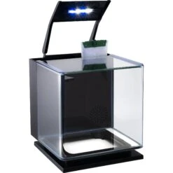 GloFish Betta Fish Aquarium Kit, 3-gal -Plax Penn Shop 301646 PT2. AC SS1800 V1622151202