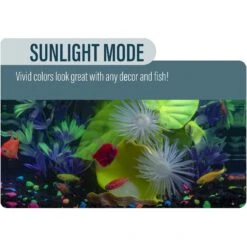 GloFish Betta Fish Aquarium Kit, 3-gal -Plax Penn Shop 301646 PT4. AC SS1800 V1622152082