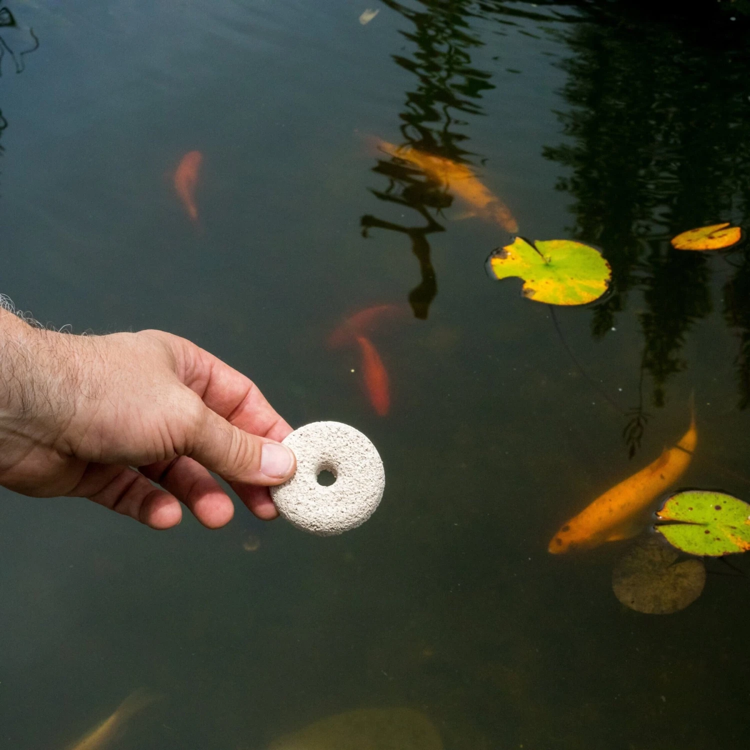 Summit Mosquito Dunks Larvae Control Tablets, 20 Count 4 Summit Mosquito Dunks Larvae Control Tablets, 20 Count - Image 2